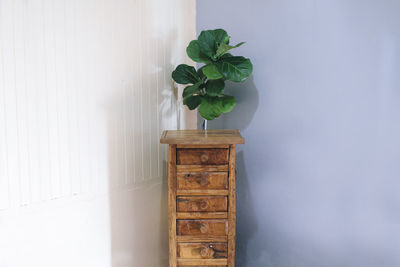 Potted plant against white wall of house