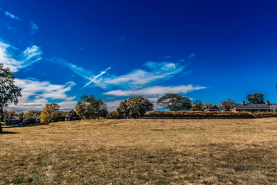 Trees on field against blue sky