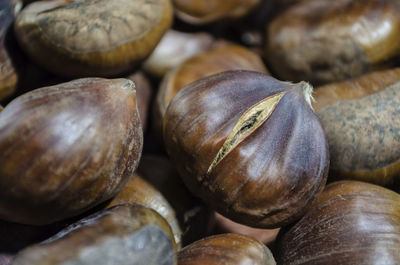 Closeup of a roasted chestnut.