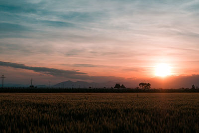 Scenic view of field against sky during sunset