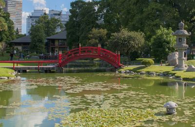 Bridge over water against trees