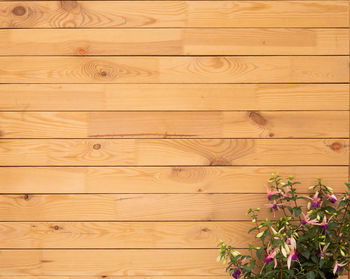 Full frame shot of hardwood floor