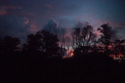 Silhouette trees against sky