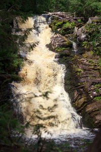 Scenic view of waterfall in forest