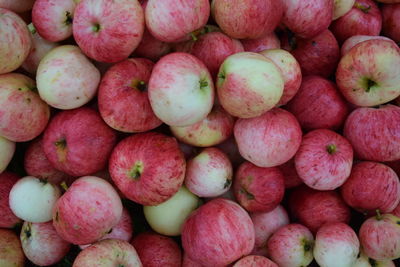 Full frame shot of apples