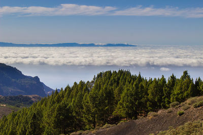 Scenic view of landscape against cloudy sky