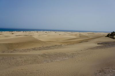 Scenic view of beach against clear sky