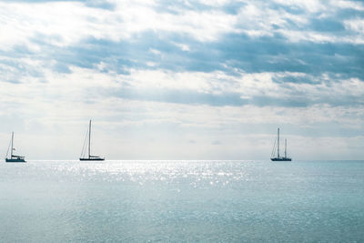 Sailboat sailing on sea against sky