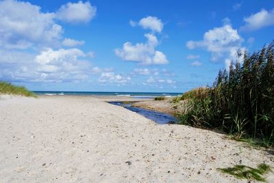 Scenic view of beach against sky