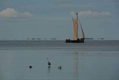 Boats in sea