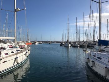 Sailboats moored in harbor