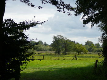 Scenic view of grassy field against cloudy sky