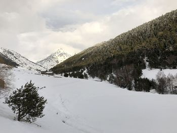 Snow covered trees against sky