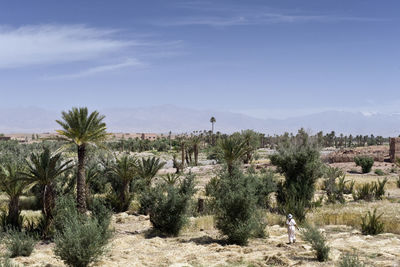 Rear view of woman standing on field at atlas mountains against sky