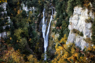 Scenic view of waterfall in forest