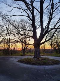 Bare trees on field by road against sky