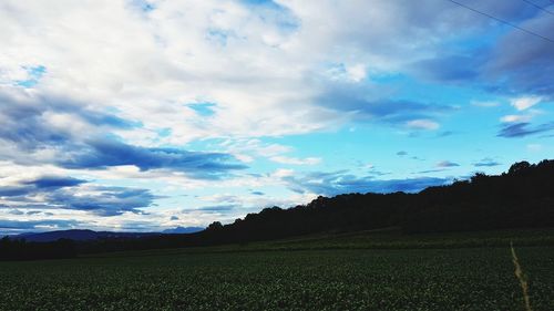 Scenic view of field against sky