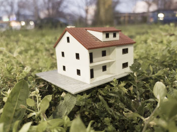 Close-up of birdhouse on field against house