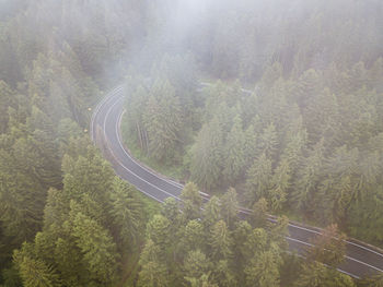 High angle view of road amidst trees in forest