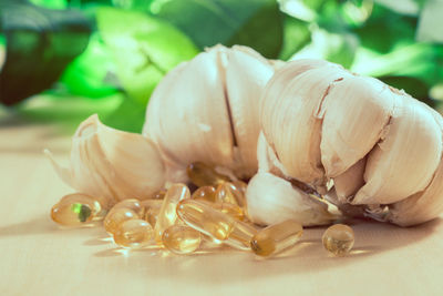 Close-up of garlic on table