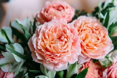 Luxurious bouquet of fresh pastel pale pink roses