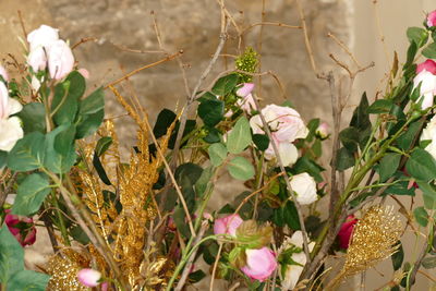 Close-up of flowers