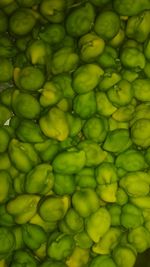 Full frame shot of green fruits for sale