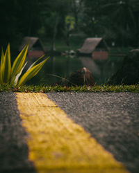 Surface level of zebra crossing