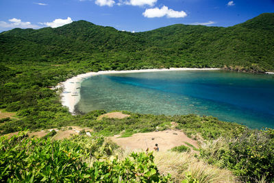 View of calm lake against lush foliage