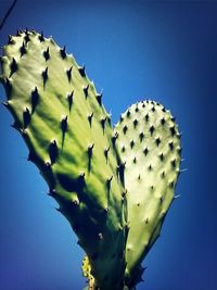 Low angle view of green leaves against blue sky