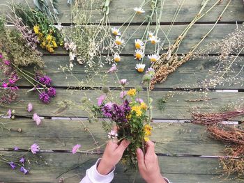 Close-up of hand holding flowers