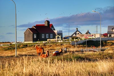 Houses on field against cloudy sky