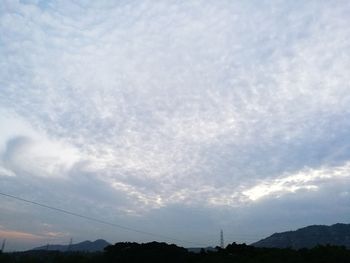 Low angle view of trees against sky