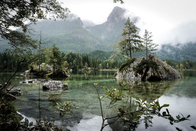 Scenic view of lake by trees against sky