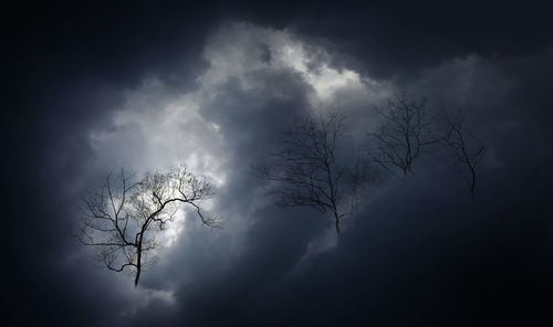 Low angle view of silhouette bare tree against sky