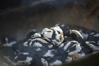 Close-up of black coffee on rock