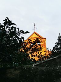 Low angle view of trees against orange sky