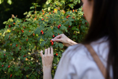Midsection of woman holding plant
