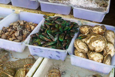 Close-up of seafood for sale