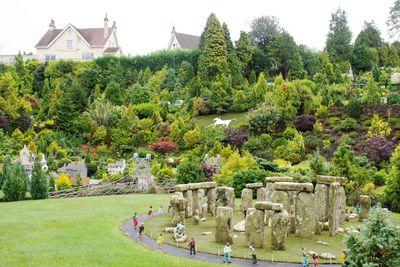 Trees and plants in lawn