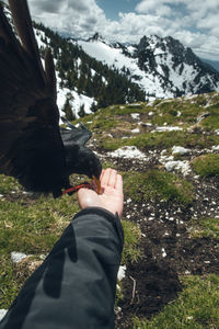 Close-up of bird eating out of hand