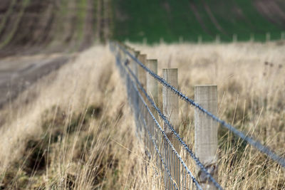 Fence on field