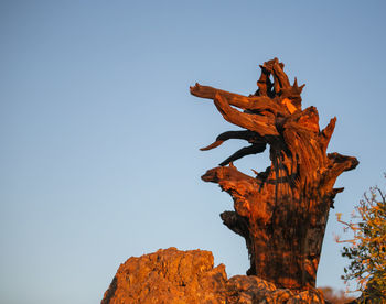 Low angle view of dead tree against clear blue sky