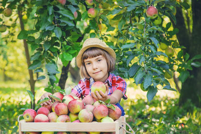 Portrait of smiling cute girl with crate of apples sitting against trees