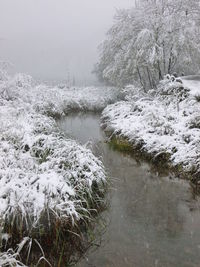 Scenic view of snow covered land