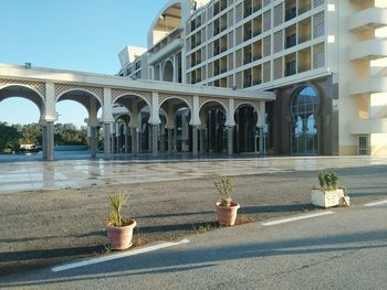 Potted plants on street by building in city