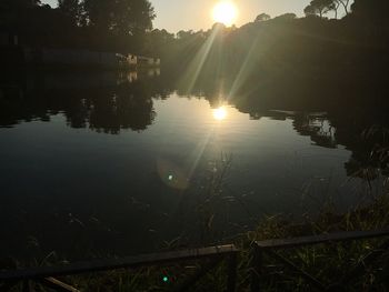 Reflection of trees in water