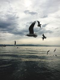 Seagulls flying over sea against sky