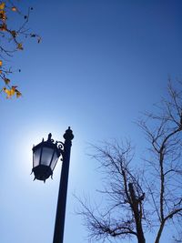 Low angle view of trees against clear sky