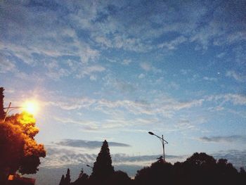 Low angle view of trees against sky at sunset